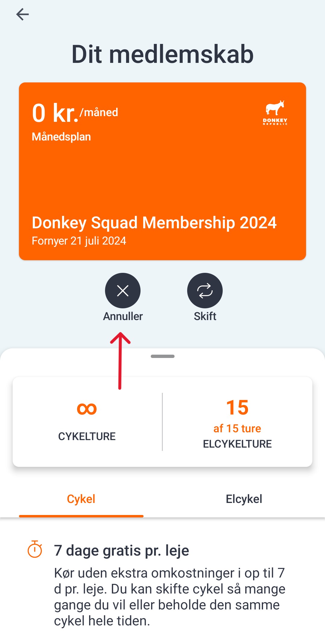 dk2.jpg