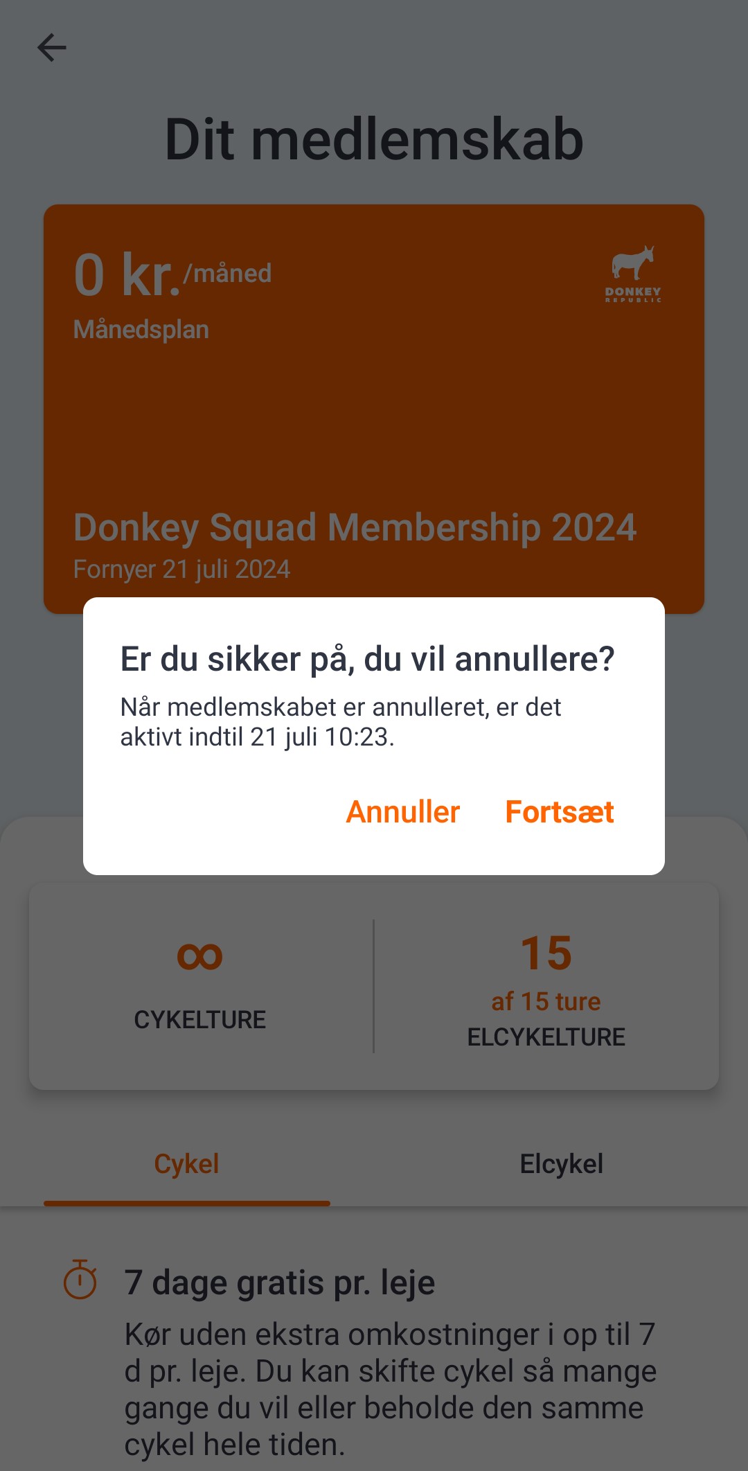 dk3.jpg